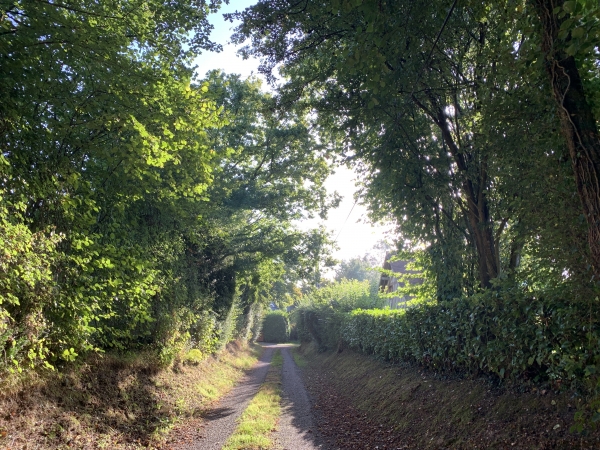 Nous avons traversé l'A13 par le pont de la Route des Authieux-sur-Calonne. Nous suivons le GRP du Tour du Pays d'Auge.