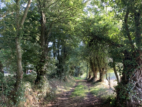 Nous descendons vers le ruisseau de la Fontaine St-Martin.