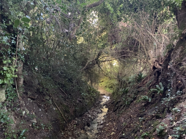 Sur 50 mètres, notre chemin se transforme en petit ruisseau. Les cailloux sont nombreux, nous restons au sec.