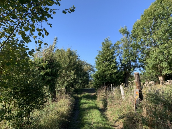 Nous arrivons à la route de la Rillegatte.