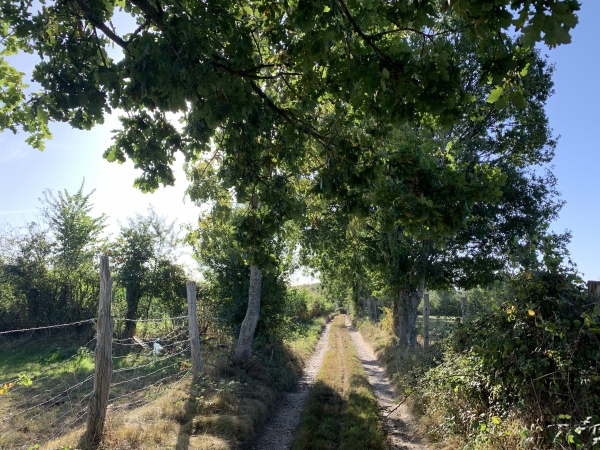 Chemin en direction de la Nonanterie.