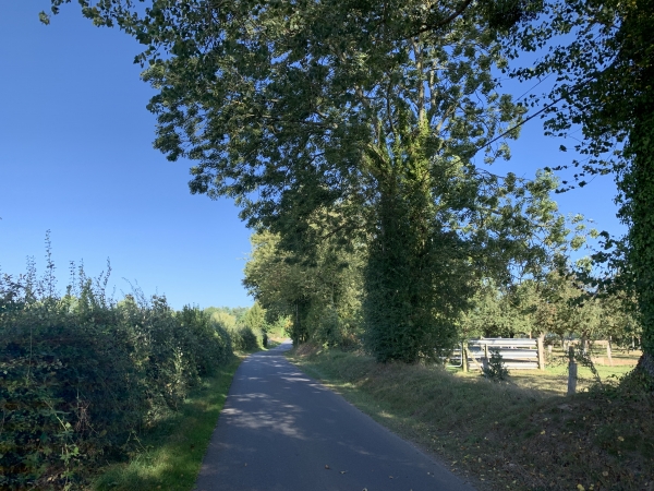 Nous revenons de St-Léger-sur-Bonneville jusqu'au pont sur l'A13 par la route de la Forge Patin. Longue ligne droite goudronnée (2,8km), dont l'ennui est compensé par les paysages champêtres.