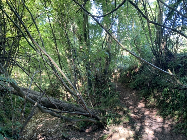 Nous traversons le ruisseau de la Fontaine de Routot, à sec.