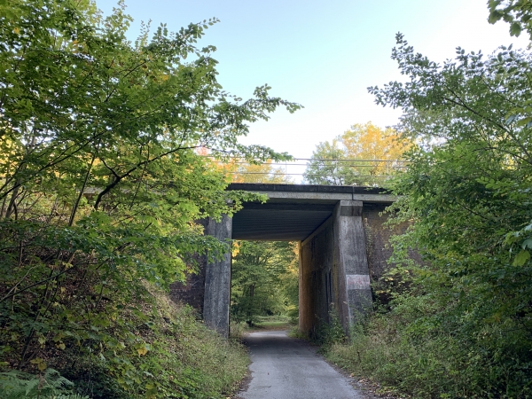 Nous passons sous la ligne Rouen-Caen, l'une des nombreuses voies ferrées de cette forêt, mais la seule encore en activité.