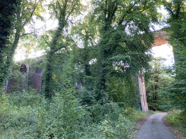 Nous voici sous l'impressionnant viaduc des 17 piles qui surgit de la végétation. Il permettait la liaison entre les lignes Oissel-Serquigny et Rouen-Elbeuf. Il est maintenant désaffecté.