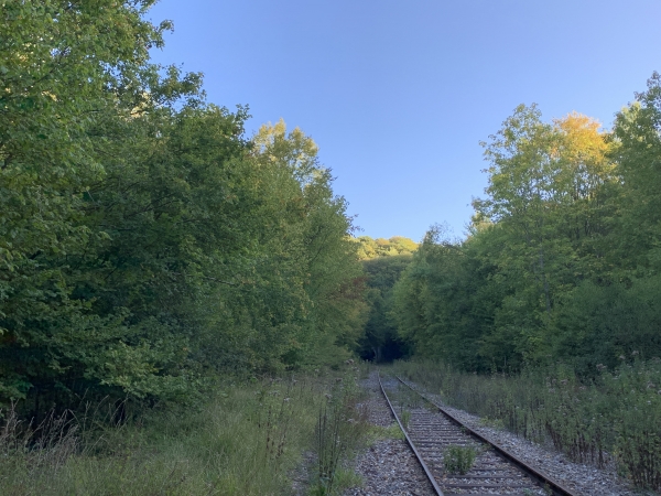 Nous ne pouvons pas traverser le viaduc des 17 piles, mais nous pouvons rejoindre le viaduc des 7 piles, tout proche. La ligne Rouen-Elbeuf est encore ferrée. Nous regardons ici vers le tunnel de la Maredote qui permet de rejoindre la gare de Moulineaux.