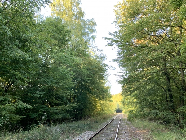 Ligne Rouen-Elbeuf, regard vers le viaduc des 7 piles.