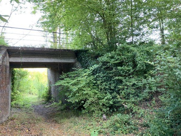 Nous sommes descendus de l'ancienne voie ferrée au niveau du Pont d'Orléans. On distingue à droite, le chemin qui nous a permis de descendre. Nous partons en direction de l'allée du Grésil.
