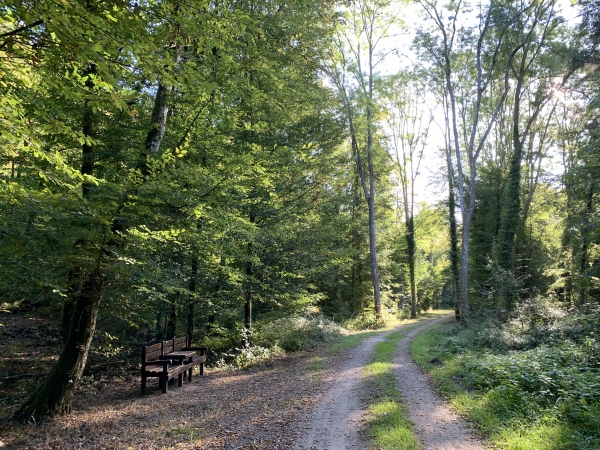 Nous voici sur le charmant Chemin du Sanglier.