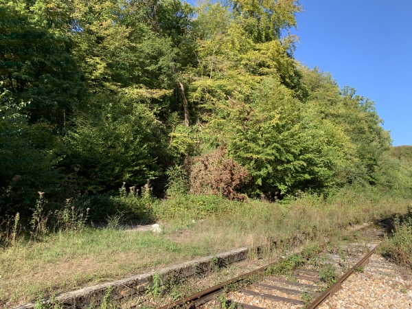 Nous arrivons à la halte du Hêtre à l'Image, ancien arrêt SNCF sur la ligne Rouen-Elbeuf. On distingue encore le quai.