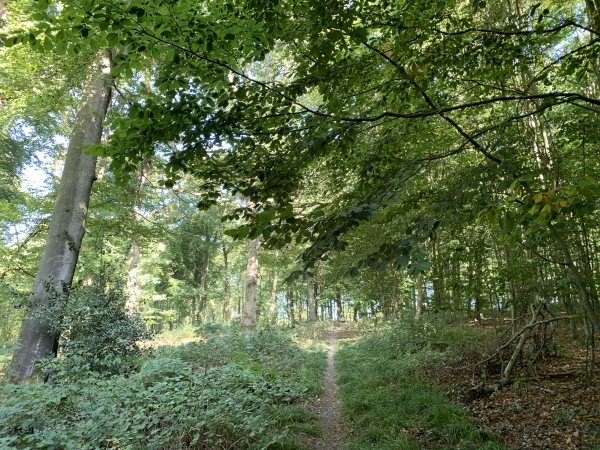 Nous allons passer sous l'A13, et au-dessus du tunnel ferroviaire de la Maredote pour rejoindre l'ancienne gare de Moulineaux.