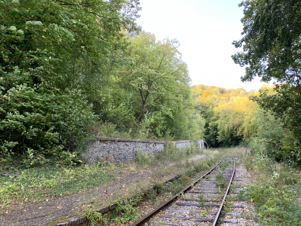 Vestiges des quais de l'ancienne gare de Moulineaux.