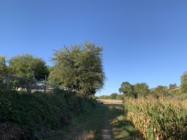 Nous commençons notre première boucle tout autour de la pointe ouest de l'Île de Freneuse.