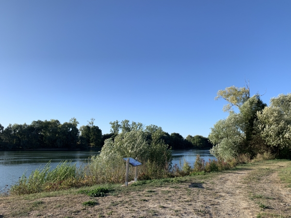 Première boucle. Les chemins sont agréables, et plusieurs ouvertures dans la végétation laissent voir la Seine.