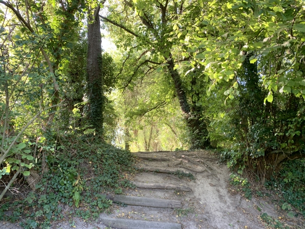 Deuxième boucle. Nous rejoignons le chemin de bord de Seine.