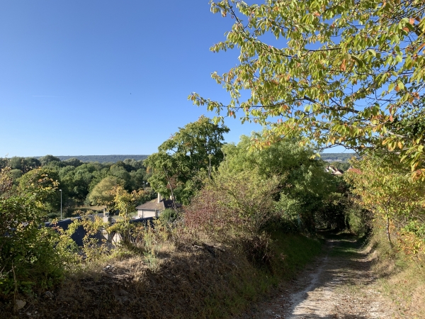 Deuxième boucle. Nous montons sur le coteau par le Chemin de la Gayère aux Vaches. Regard arrière.