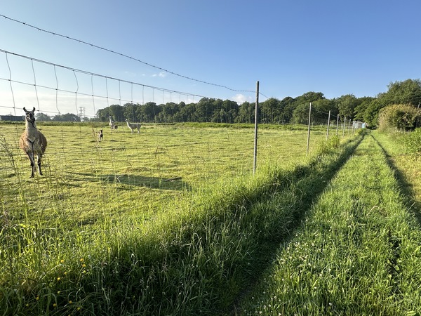 Nous partons de l'esplanade derrière l'ancienne maison forestière de la Haie de Gauville et traversons la route du Trait pour suivre ce chemin de la Grande Planite.