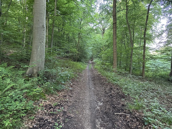 Nous descendons vers le val des Noyers où nous allons trouver le GR2.&nbsp;