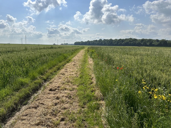 Après les Yaux, nous traversons la plaine agricole des Caillettes.