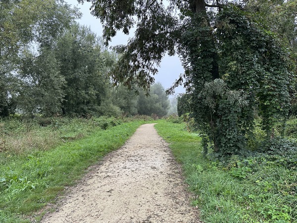 Rapidement nous sommes plongés dans des paysages naturels très agréables. Nous sommes ici le long de l'ancienne île de la Bastide. On remarquera le revêtement en stabilisé, adapté aux vélos ET agréable au marcheurs, contrairement à une certaine voie verte, récente elle aussi, mais couverte de goudron (suivez mon regard vers Le Trait...)