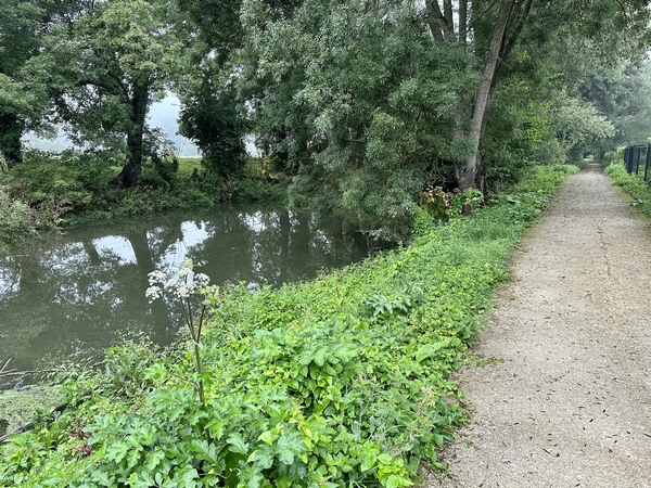 De l'autre côté du bras mort de la Seine, se trouve l'Île du Noyer. Comme l'Île de la Bastide, l'Île Lecomte... elle n'est plus une île. L'Île de la Bastide était une fortification anglaise pendant la guerre de cent ans.