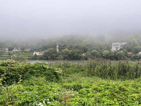 De temps en temps, la végétation nous laisse voir la forêt domaniale de La Londe-Rouvray, sur l'autre rive. Nous serons là-haut tout à l'heure.