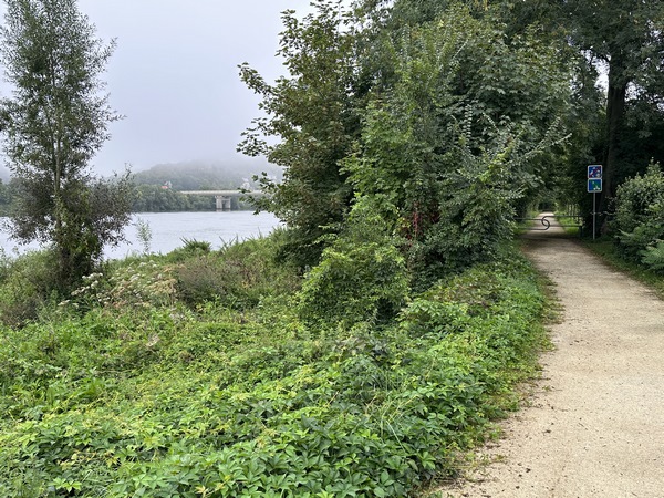 Voici le viaduc d'Orival. C'est le pont de la ligne Rouen-Caen, mais une passerelle pour piétons y est aménagée.