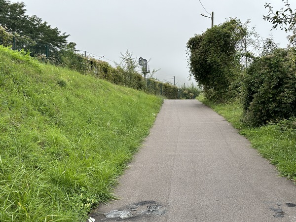Nous montons vers le viaduc. Nous avons quitté la voie verte, mais pas les aménagements pour piétons et cyclistes : ils vont nous conduire jusqu'en forêt.