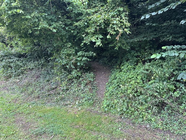 Peu après le pont, il ne faut pas rater la discrète entrée du sentier qui monte en forêt.