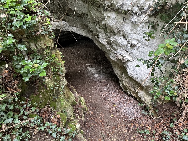 Nous avons rejoint le chemin principal qui avance sur le coteau, en forêt domaniale de La Londe - Rouvray. Le chemin longe ici d'anciennes carrières de craie à chaux.