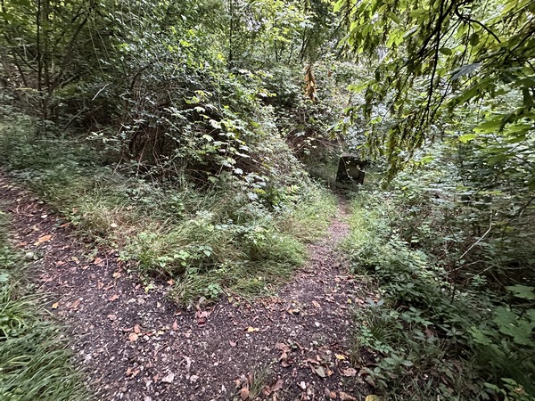 Dès que l'on voit une première stèle de béton, nous quittons le chemin principal pour descendre vers le Chemin de Croix.