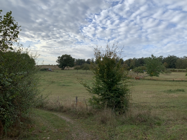 Le Mont Hamel à St-Cyr-la-Campagne, nous suivons le Chemin du Champ-Corneille.