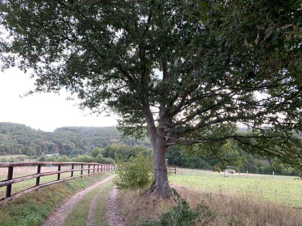 Nous descendons maintenant vers Neuf-Moulin (St-Cyr-la-Campagne).