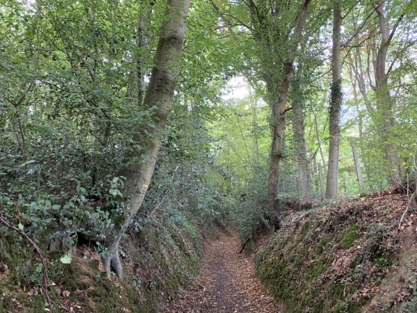 Nous montons sur la colline du Puits Castel. Ce point culminant abritait un château (remplacé désormais par une construction contemporaine), et le puits est un gouffre aux tristes légendes : plusieurs squelettes en auraient été retirés, dont celui d'un jeune tailleur bossu, identifié par ses ciseaux et son dé. Une étrange cérémonie avait lieu le jour de Pâques autour du puits, avec des branches d'if. (Annuaire Almanach de l'Eure).
