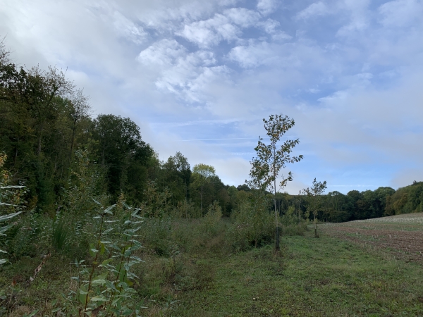 Vallée Marabel, nous montons dans le bois vers la Poulette.