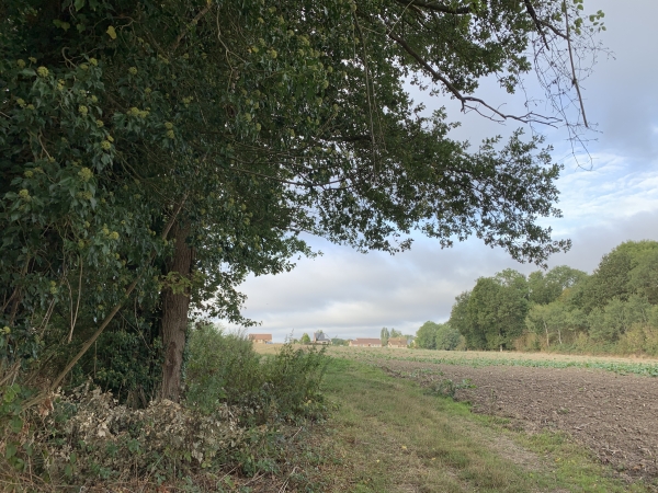 Nous sortons du bois pour entrer dans La Harengère.
