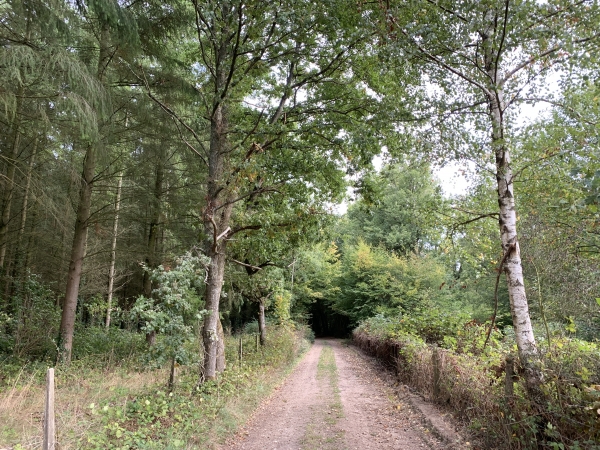 La Harengère, Chemin du Bois Gamard.