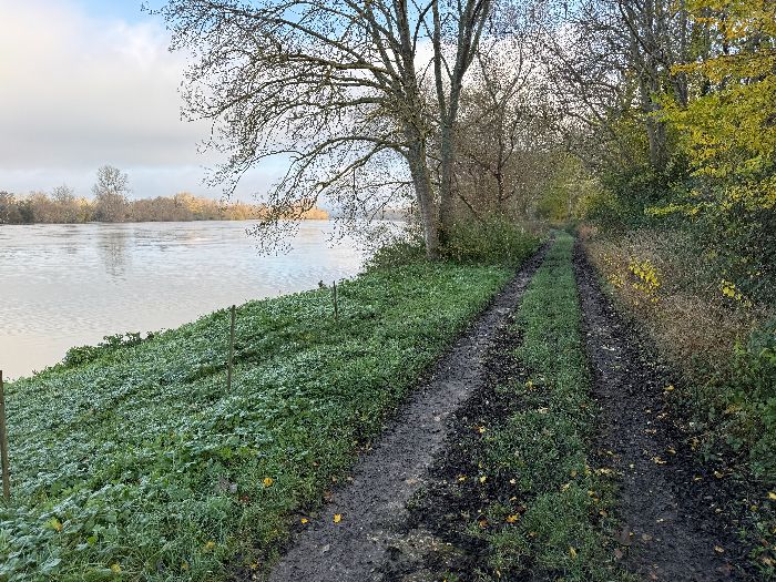 Nous suivons le chemin qui avance entre la Seine et le lac de Venables.