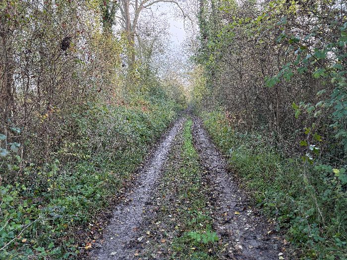 La végétation rassurante nous le cache, mais nous sommes ici sur une bande de terre de quelques mètres de large entre Seine et lac.