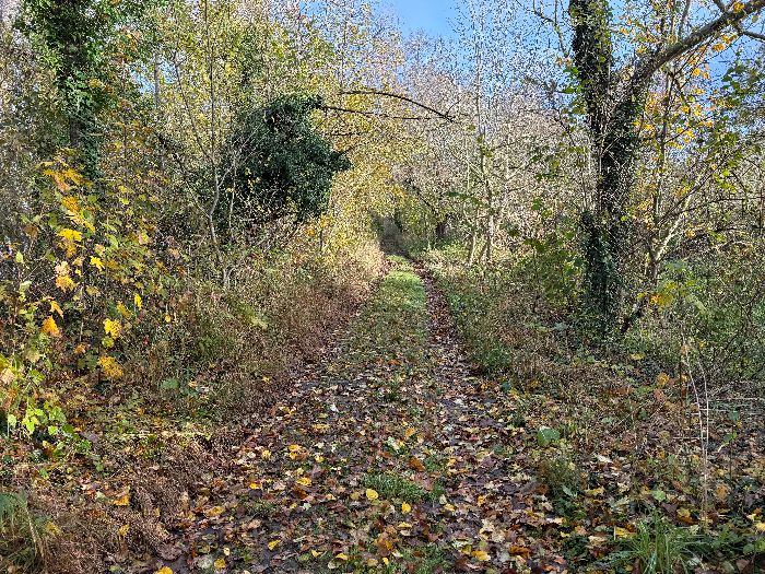 Après la passerelle, le chemin&nbsp; est toujours aussi charmant.