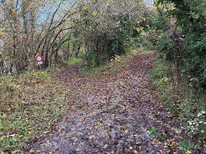 Nous quittons ici le bord de Seine, et tournons à droite pour rejoindre les bords du lac.