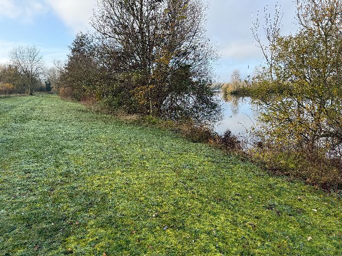 Paysages de bord du lac. Depuis la berge, on peut voir le port de Venables.