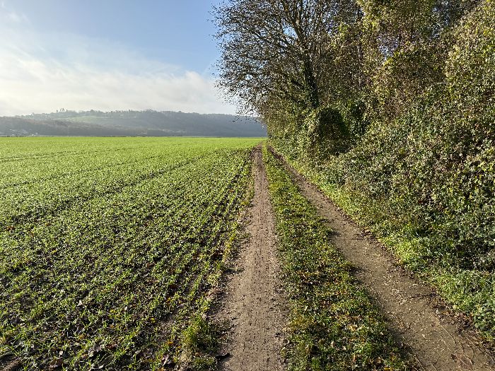 Nous suivons le chemin qui relie la rue du Lac à la rue du Port.