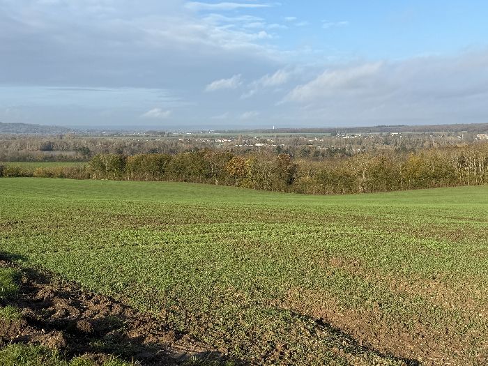 Panorama sur la vallée de la Seine depuis la Croix Blanche.