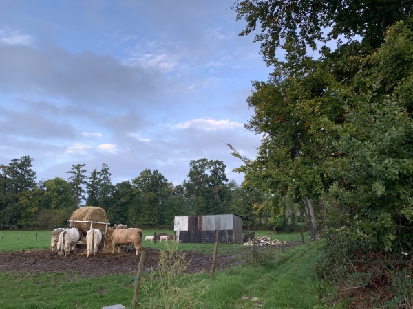 Chemin des Forrières.