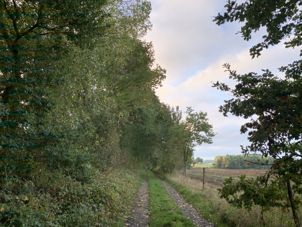 Ce chemin n'apparaît qu'en partie sur la carte, mais il est bien réel et nous conduit jusqu'à la ferme du Moulin.