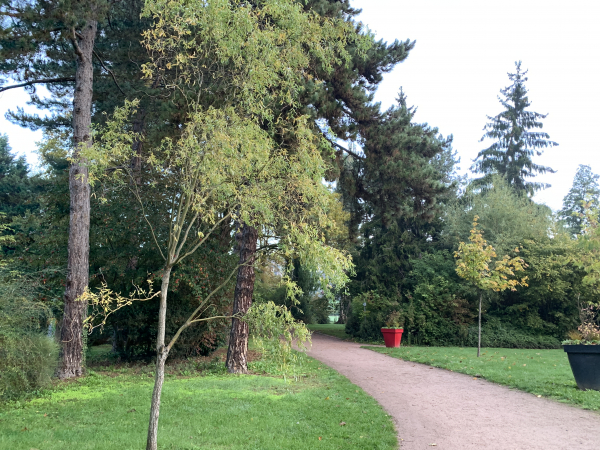 Un chemin piétonnier et cycliste longe le boulevard Gambetta, puis prolonge l'impasse Gaumont le long du stade Saint-Exupéry.
