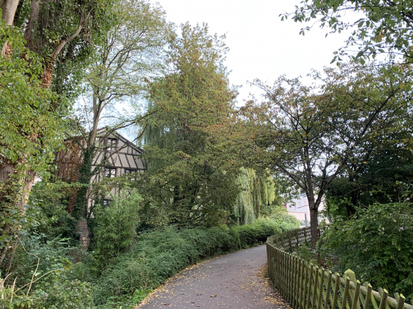 Le chemin piétonnier nous conduit jusqu'à la rue des Petites Eaux de Robec.