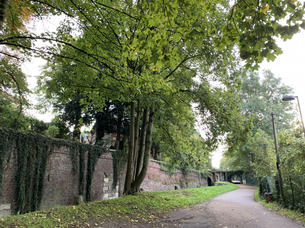 La rue des Petites Eaux de Robec est bordée de grands arbres, la promenade est vraiment agréable.