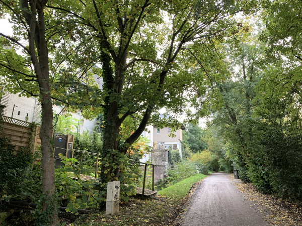 Rue des Petites Eaux de Robec au niveau du dépot de bus.